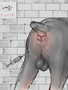 Vet Visit! [sketch]