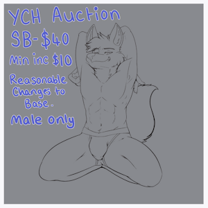 SPICY YCH - SB $40