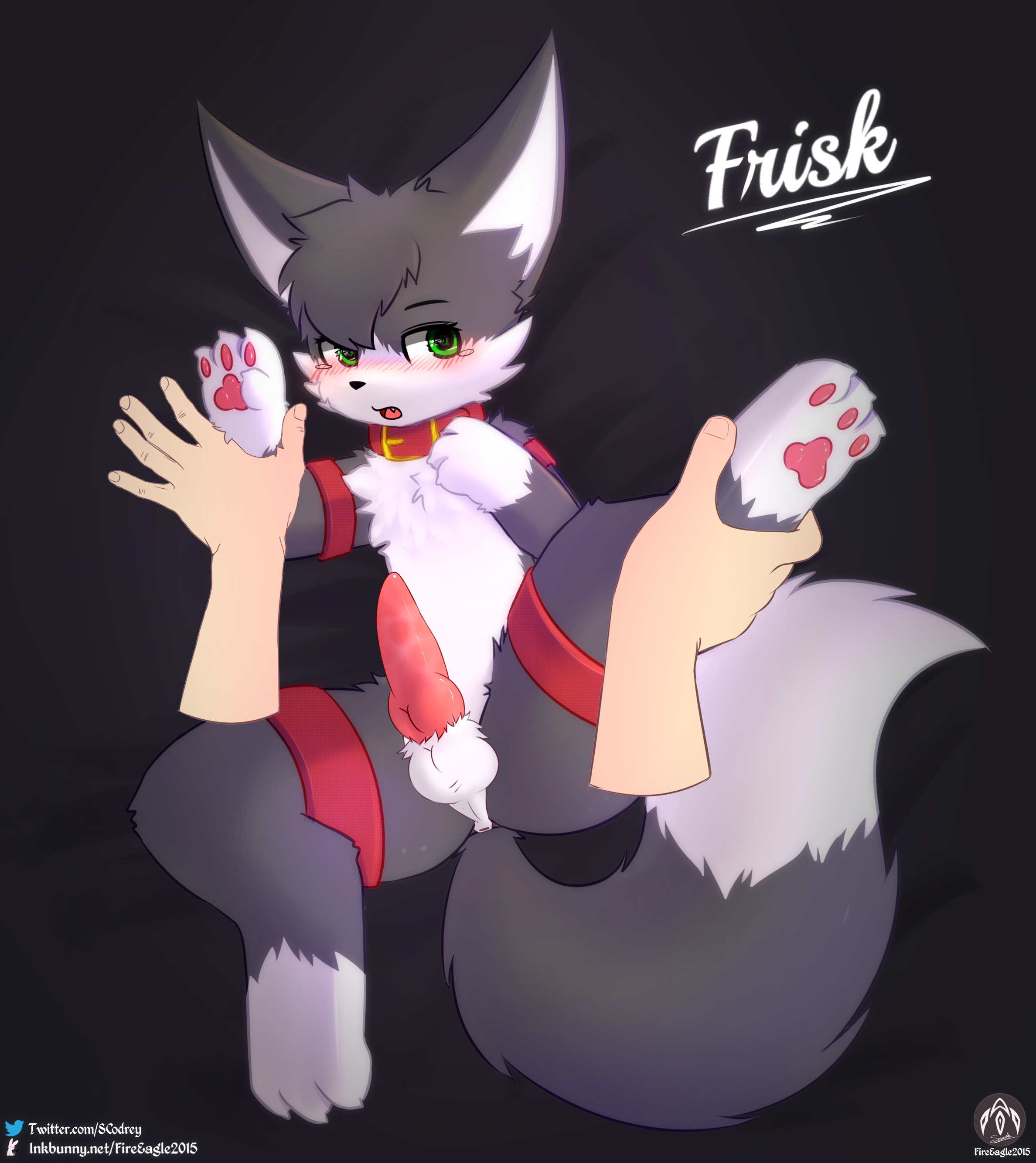 4206215_FireEagle2015_frisk4.png