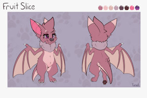 Fruit Slice Reference Sheet