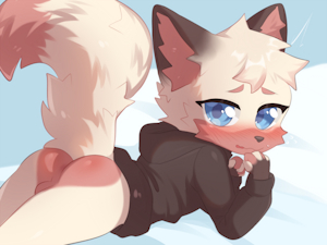 Comm:Justafoxboi