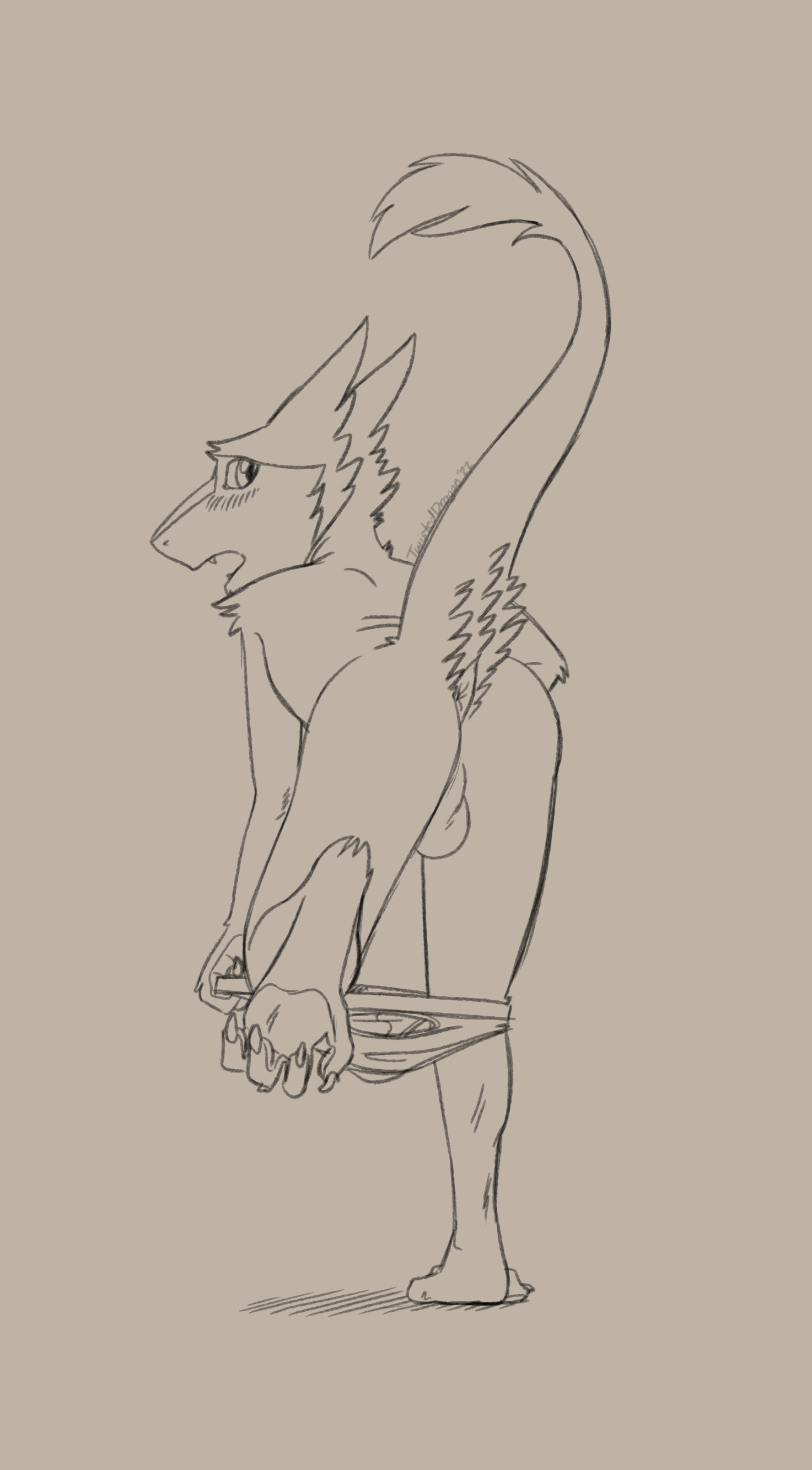 4216051_TwistedDragon_sergal_boy.png