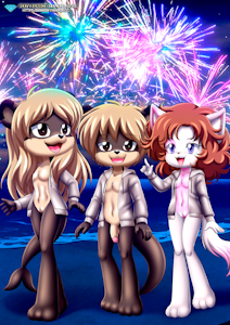 Fireworks Display
