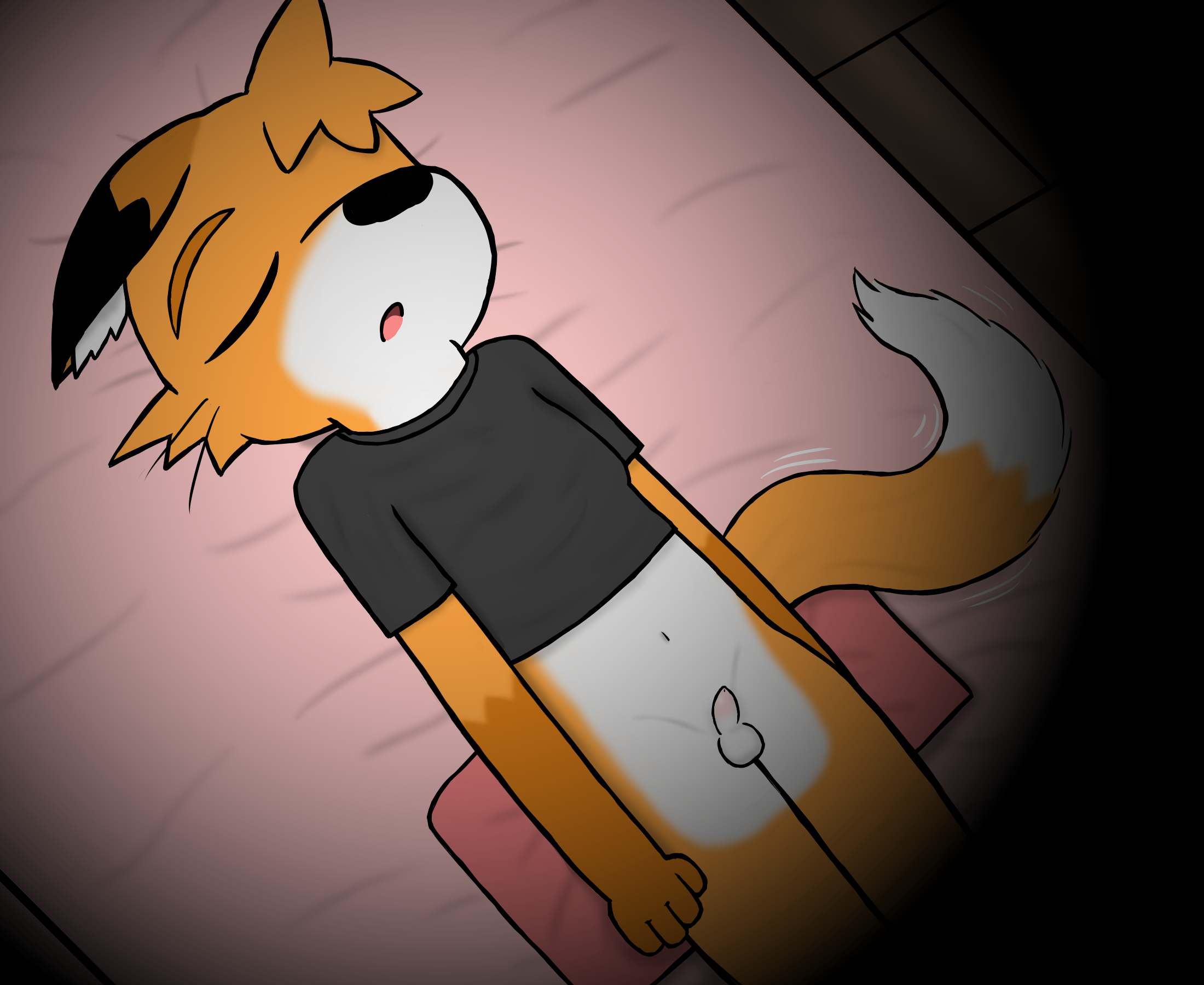 4219355_HanShiroinu_5.png