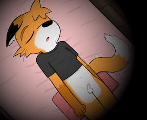 4219355_HanShiroinu_5.png