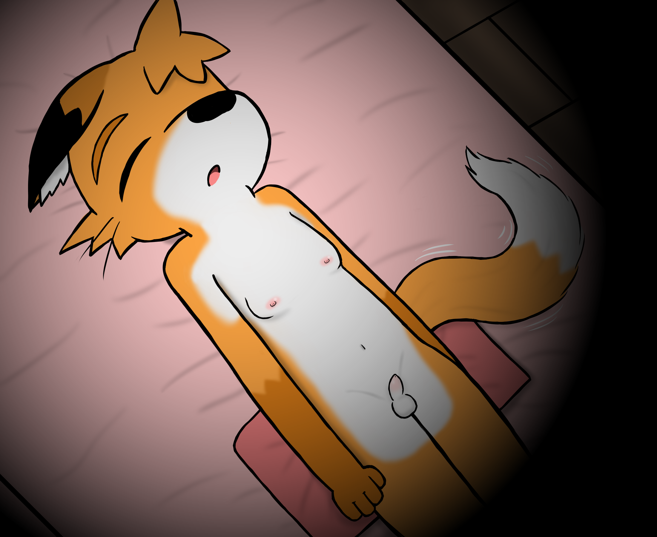 4219356_HanShiroinu_6.png