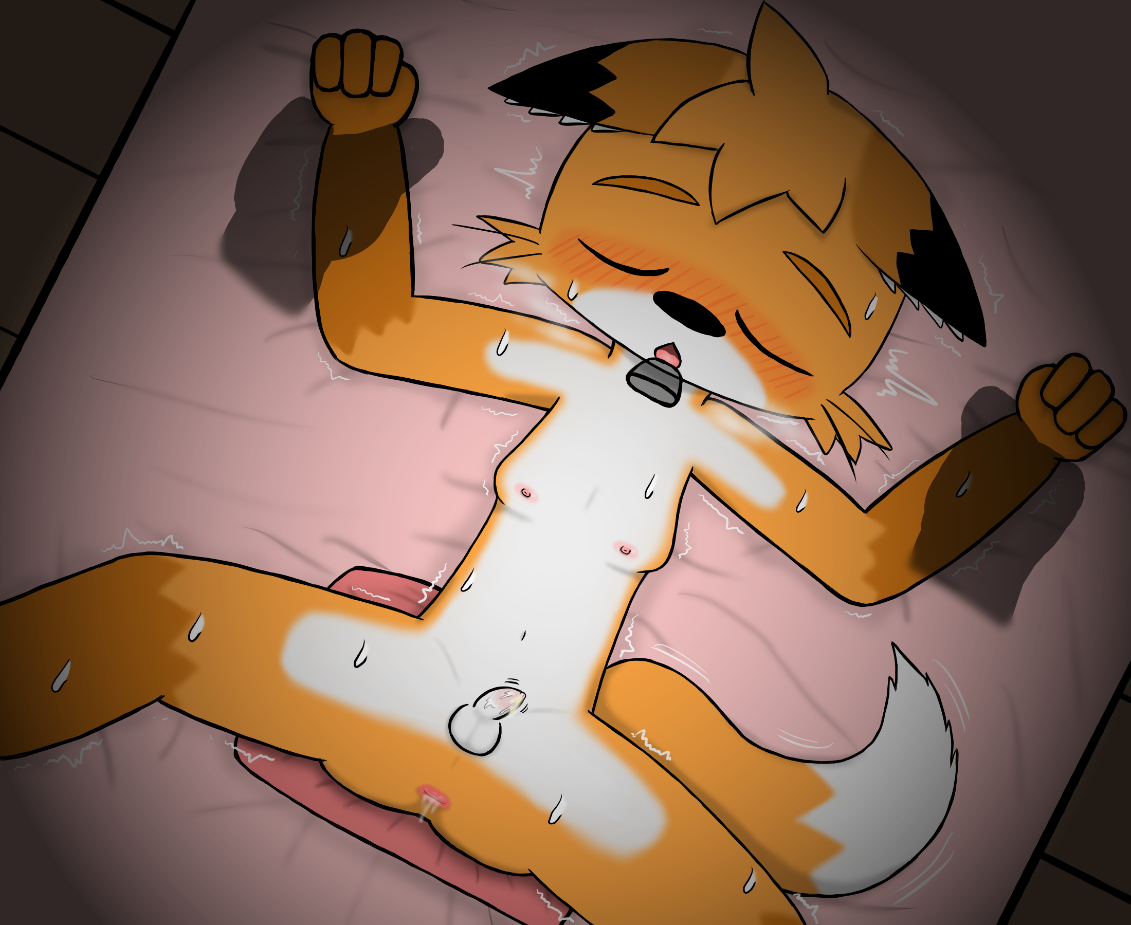 4219871_HanShiroinu_4.png