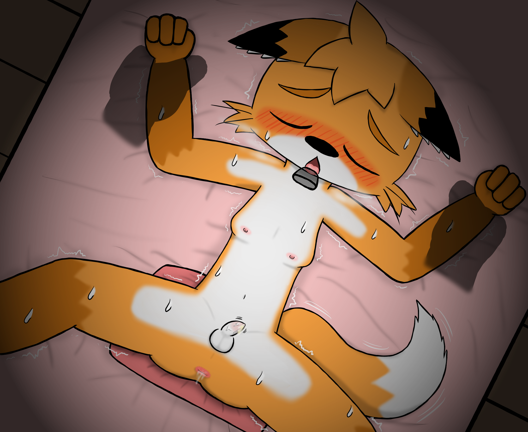 4219872_HanShiroinu_5.png