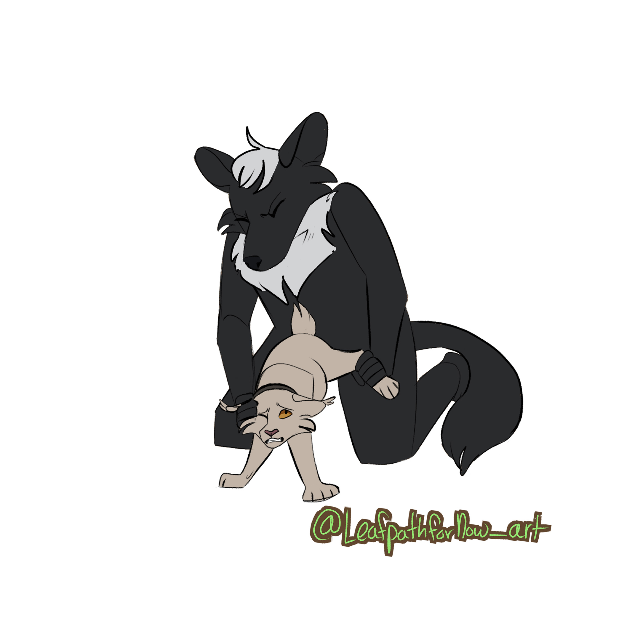 4228497_Nightdancer_zaire-sketch-page-used.jpg