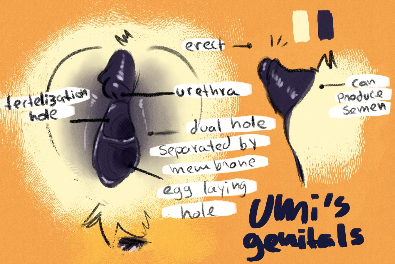 4228856_sumatsuki_illustration35_3_.png