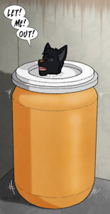 I’m a Crazy Bucket