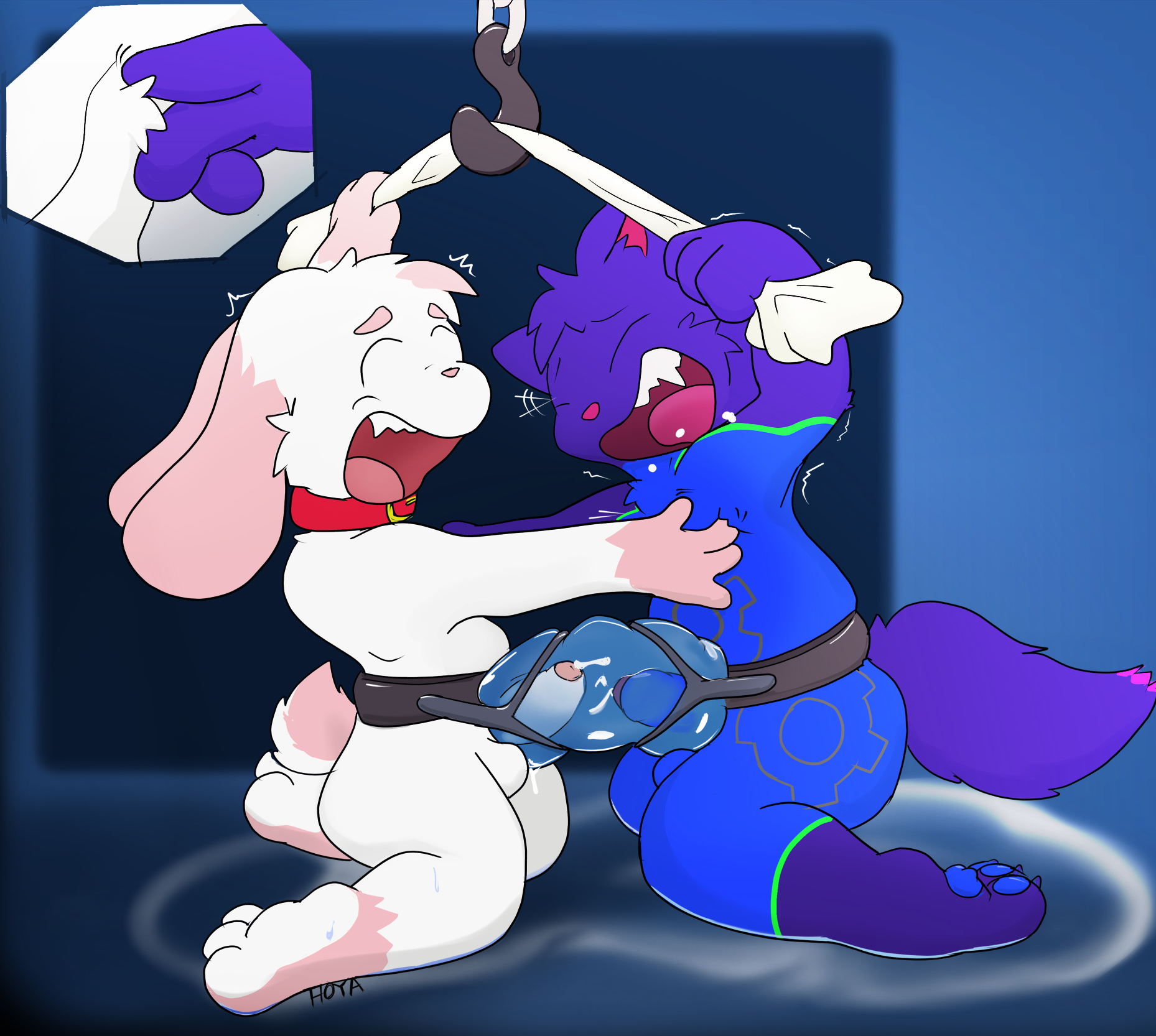 4248090_Hoya82_221112-towel_tug_with_tickle_fight.png