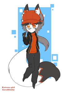Casual Wear Ion