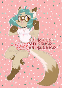 Adoptable:  Cozy kitty