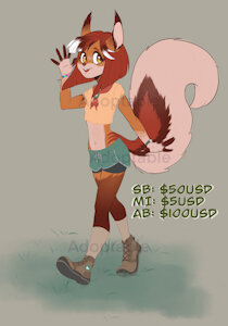 Adoptable: hiker red squirrel