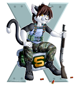 Metal Slug