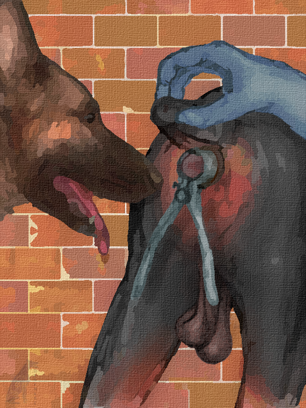 4252385_darkmare_speculation2.png