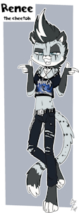 *A*_Adoptable add-ons