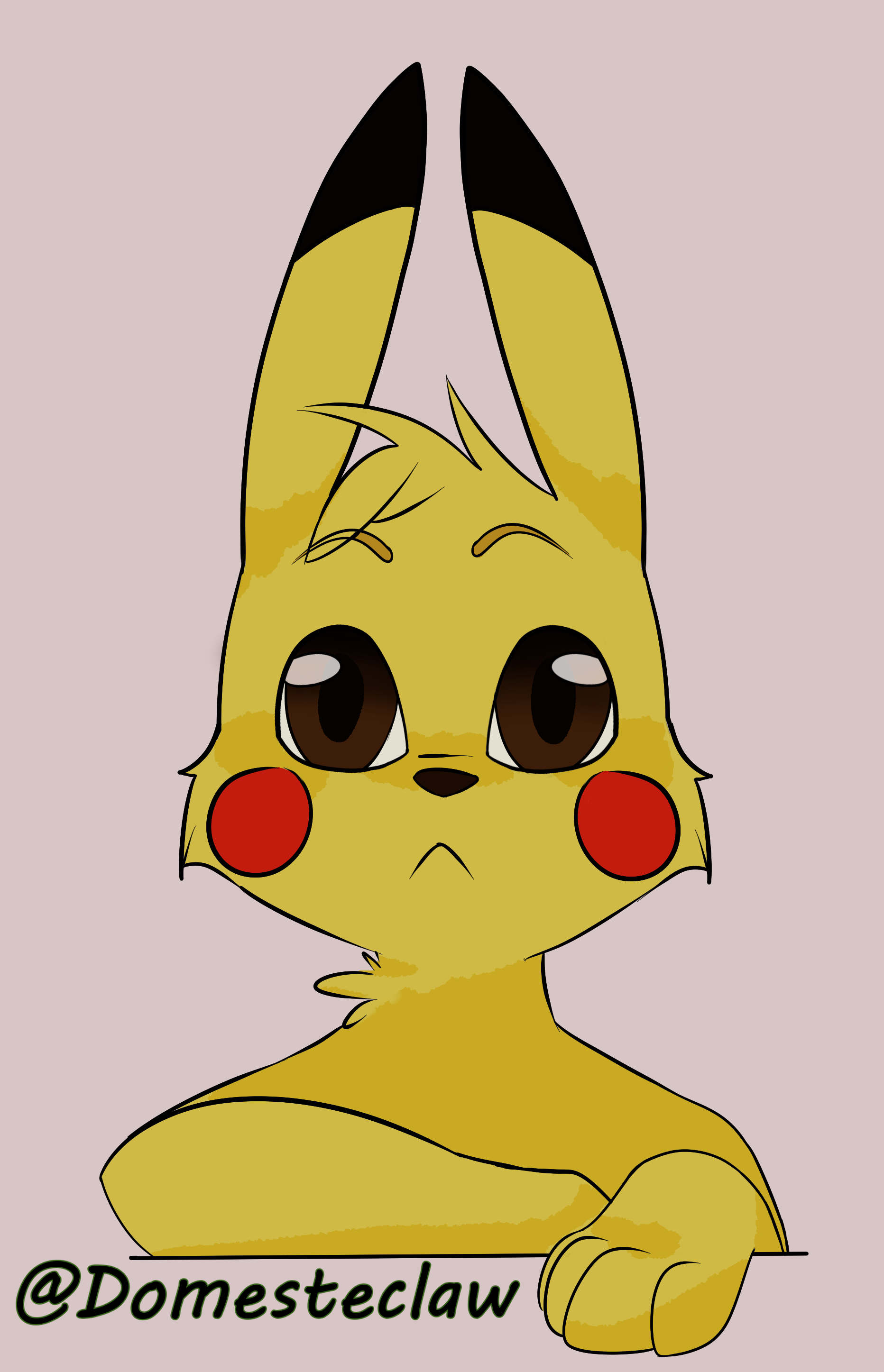 4253995_domesteclaw_ilustraci_npicachu.png