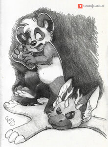 4254341_pandapaco_1038coywolfie.jpg