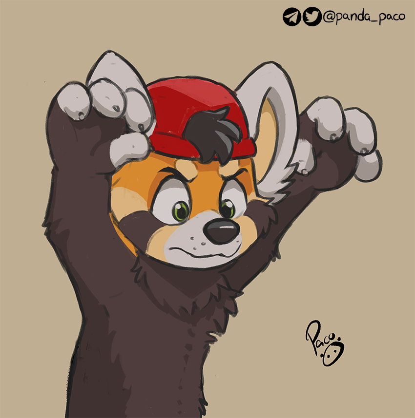 4254344_pandapaco_1041steel.png