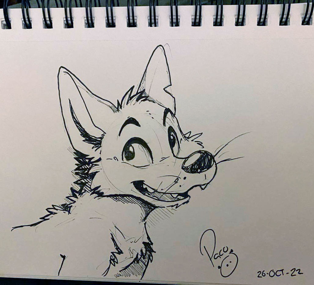 4254346_pandapaco_1043kenket.jpg