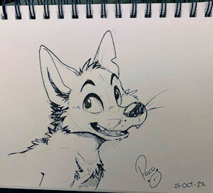 4254346_pandapaco_1043kenket.jpg