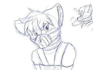 Muzzle sketch