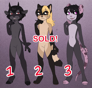 4259085_Peony_nov_20_2022_adopts_raccoon_sold.jpg