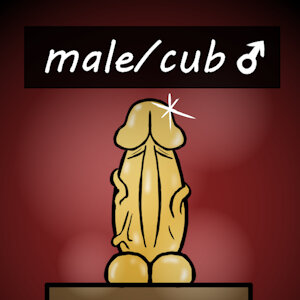 Best 3! (in 2022)