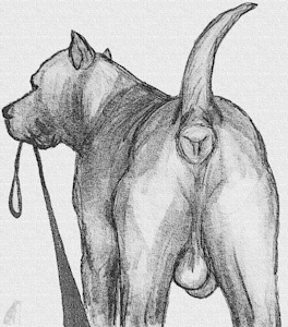 Suck my nuts. [sketch]