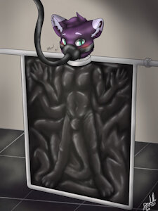 Cat in Vacbed
