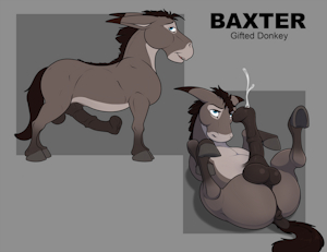 Baxter the Big Donkey