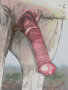 4272200_darkmare_pink.png