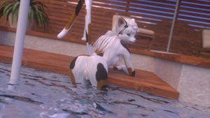 At the pool