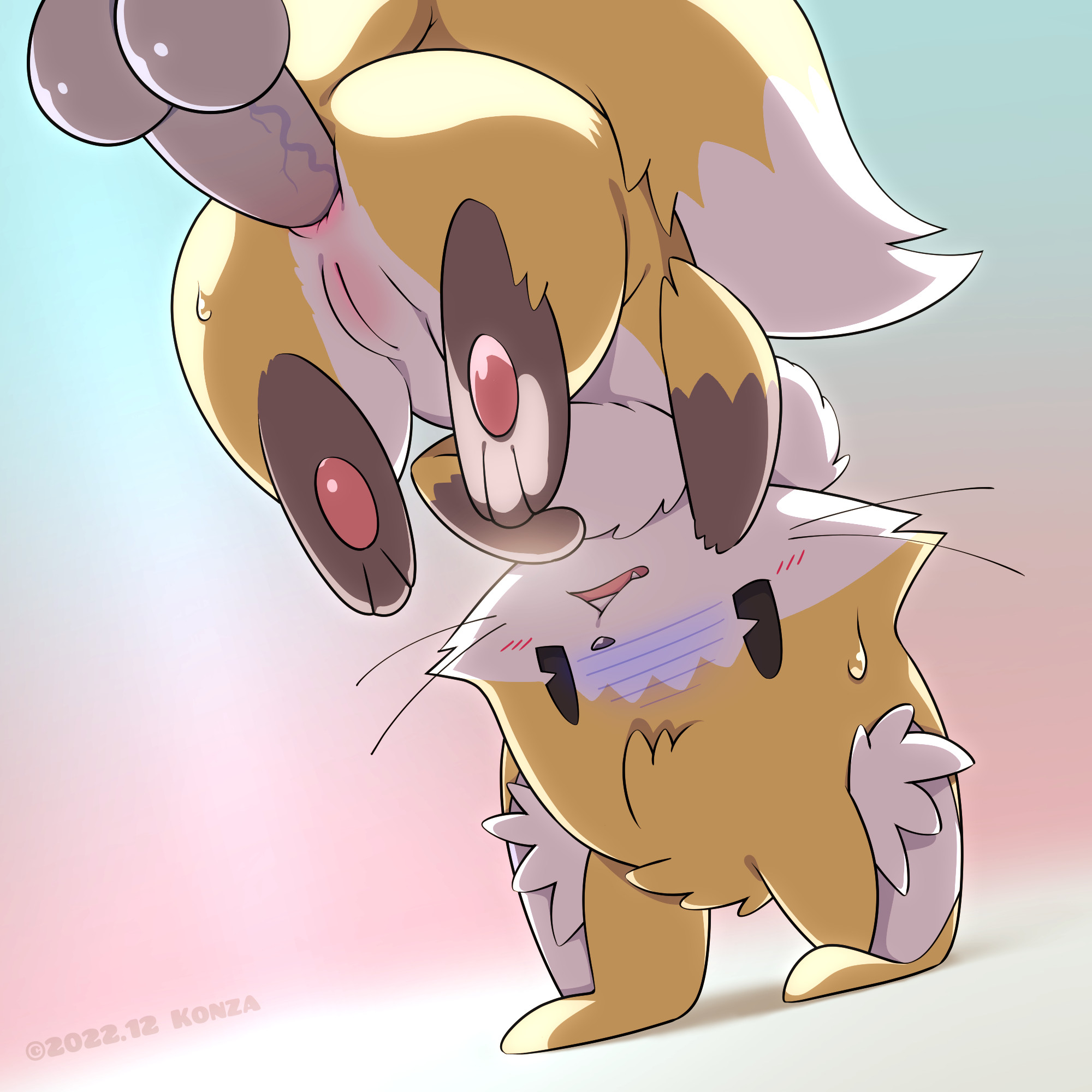 4274600_konza_ib02.jpg