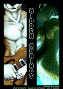 Hidden Springs - Cover