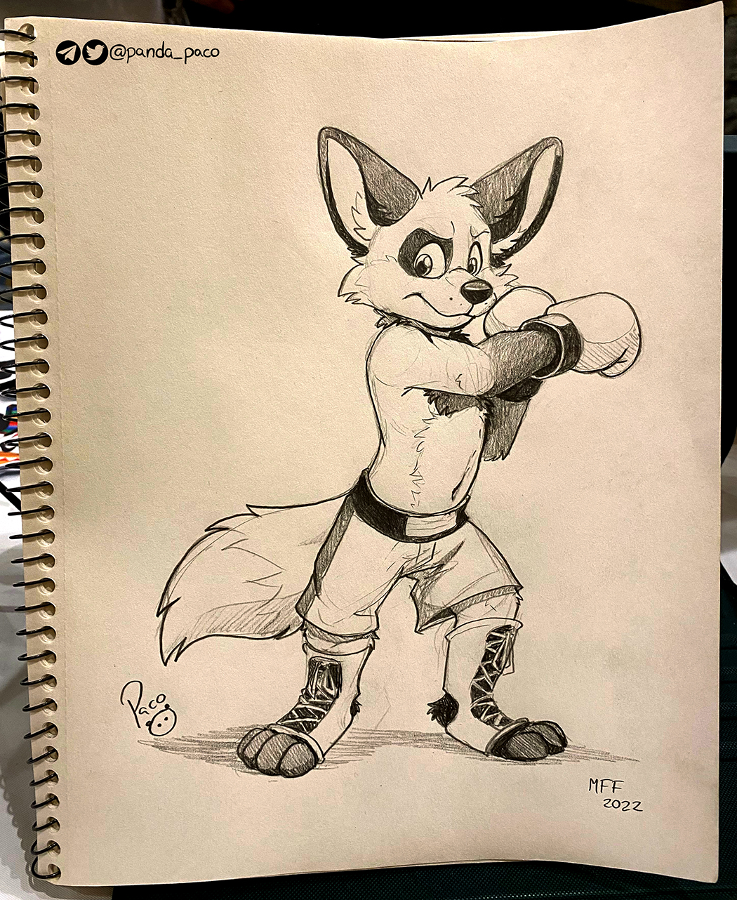 4283362_pandapaco_1054omegafolf.jpg