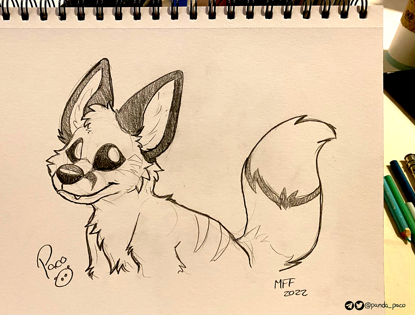 4283363_pandapaco_1055foxwife.jpg