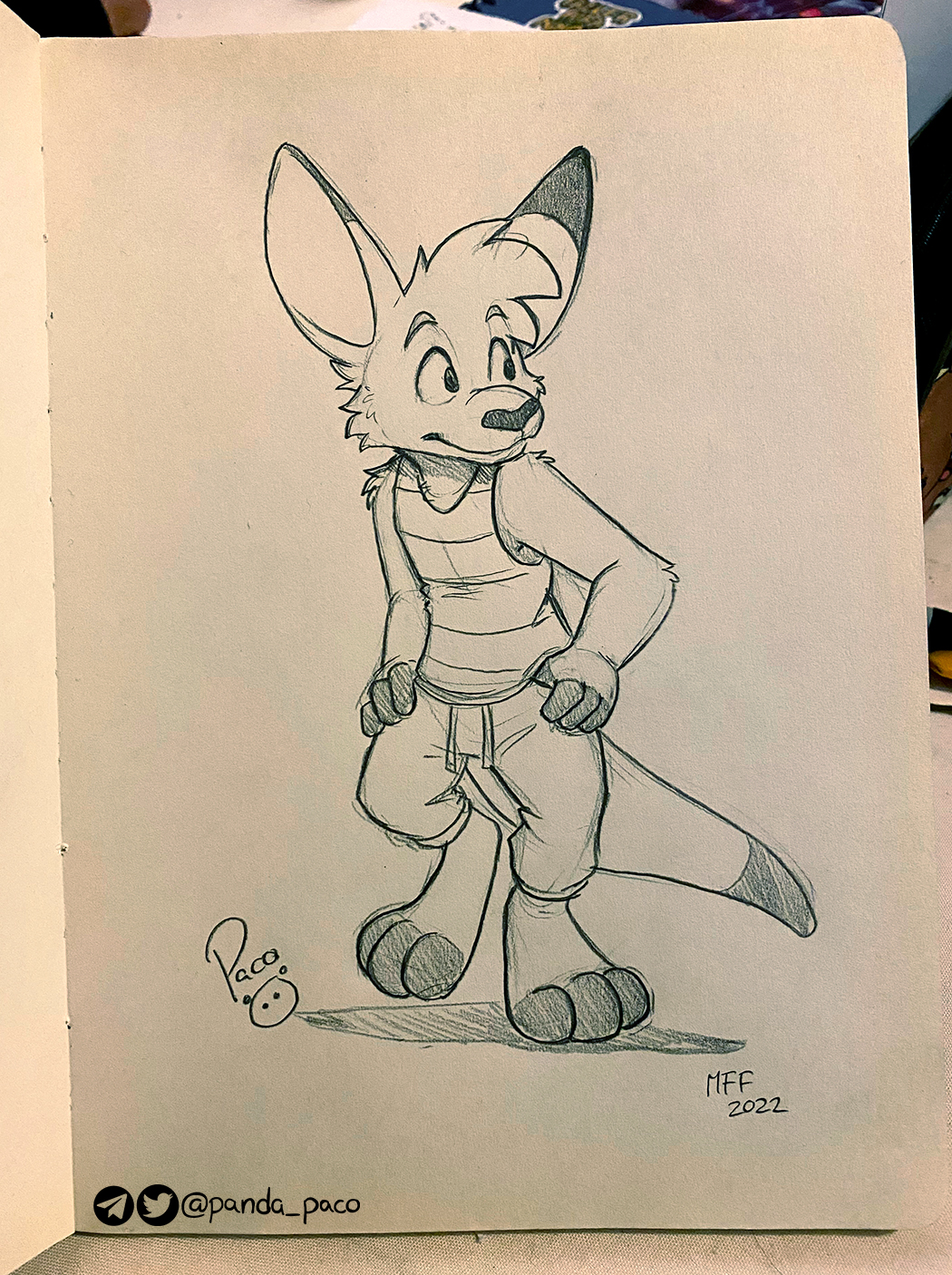 4283364_pandapaco_1056kellerkangaroo.jpg