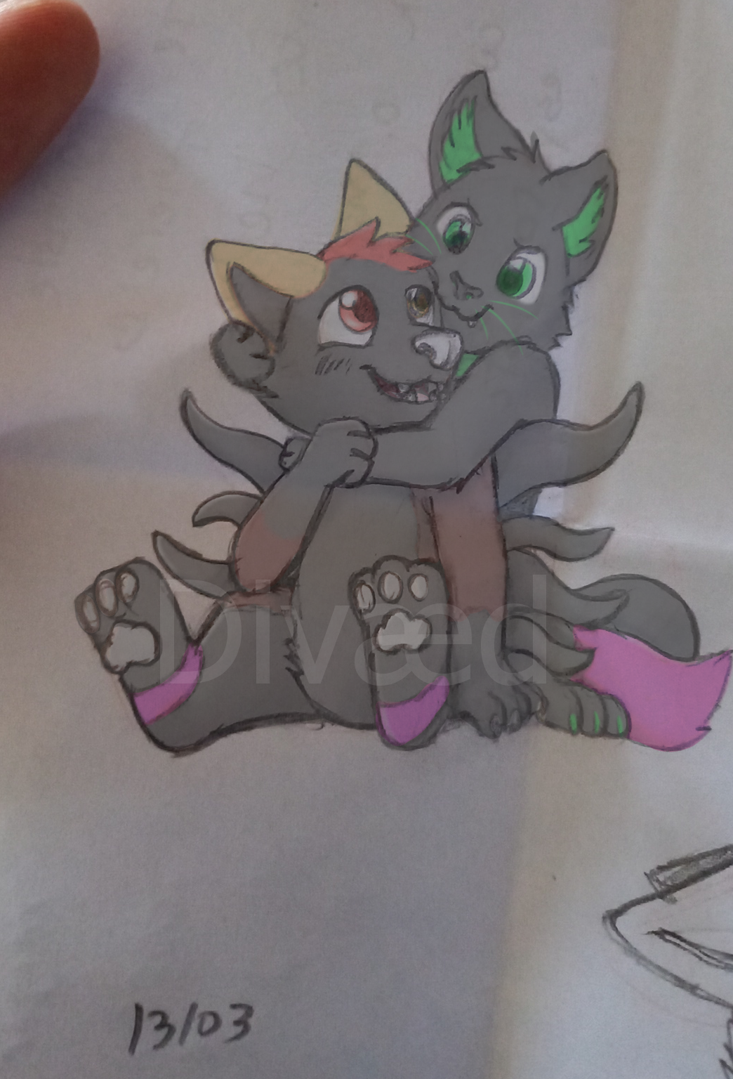 4284468_KitShoTter_y.png