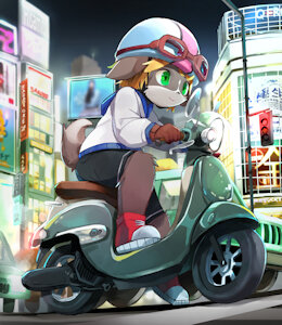 Night rider
