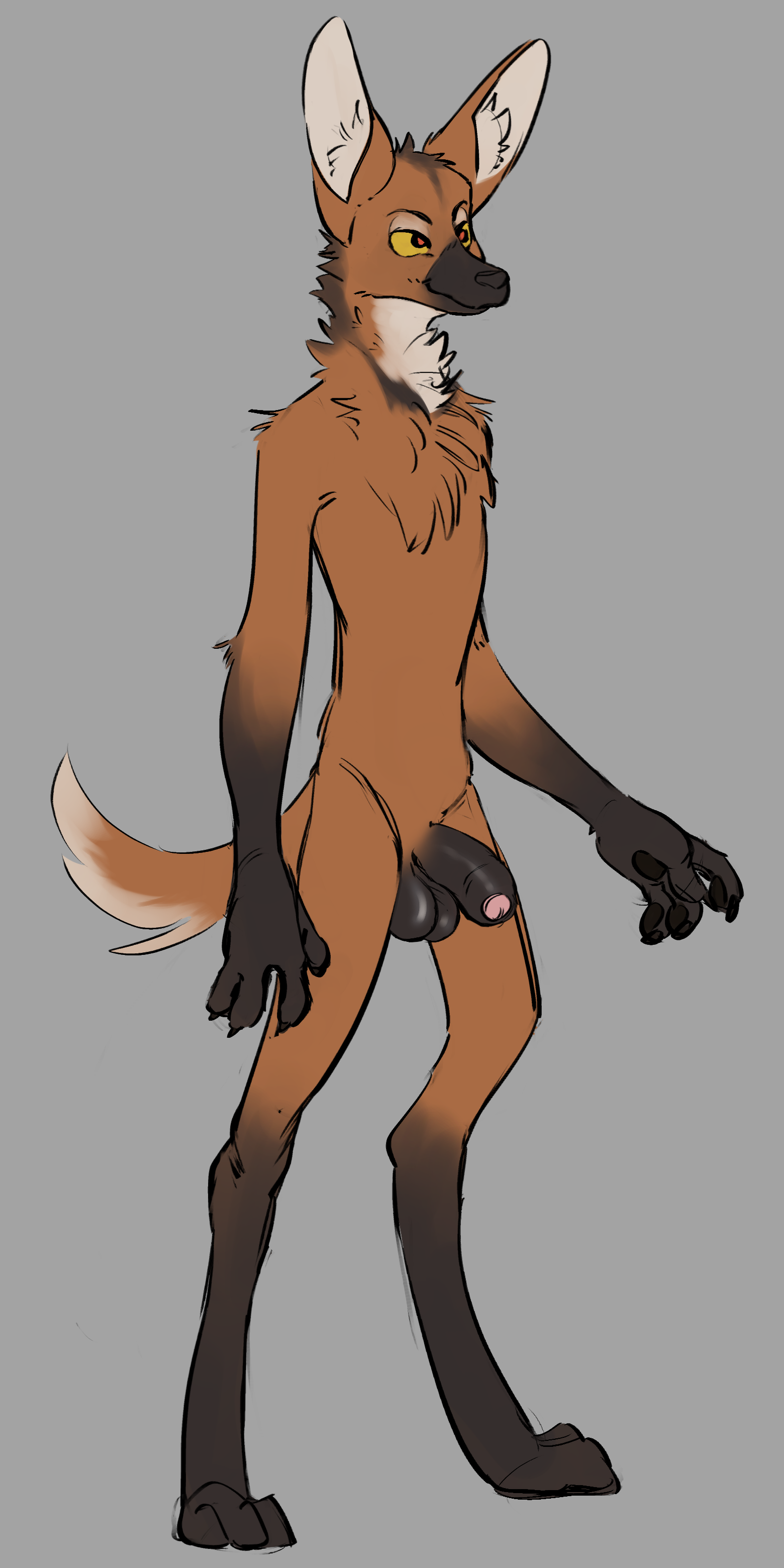 4388153_nononge_maned_wolf.png