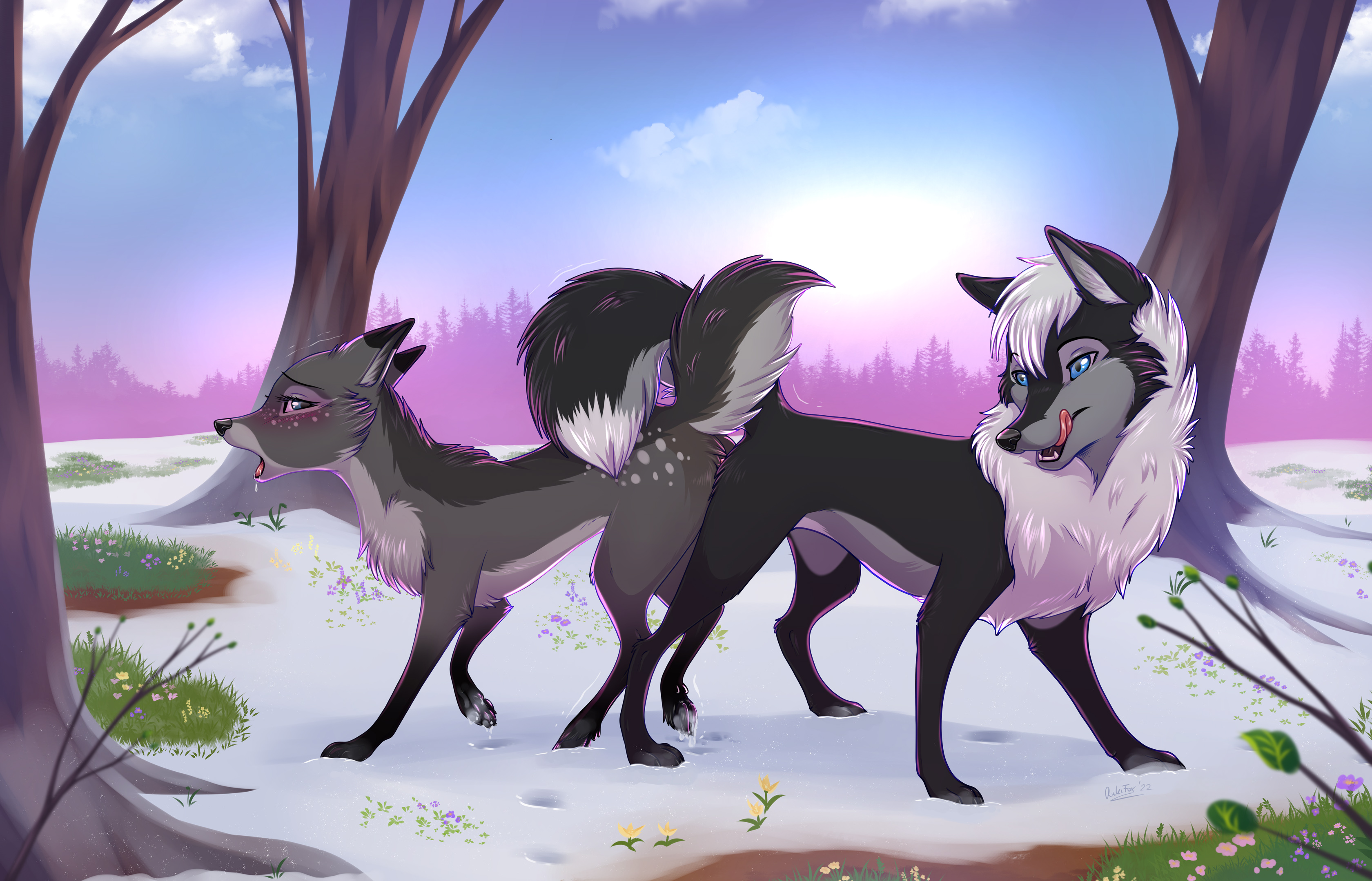 4298544_Nightdancer_spring_time_med.jpg