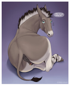 A donk's ass - by Superlavplov