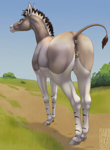 Pin the tail - by Jaribka