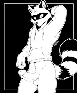 Twink Raccoon
