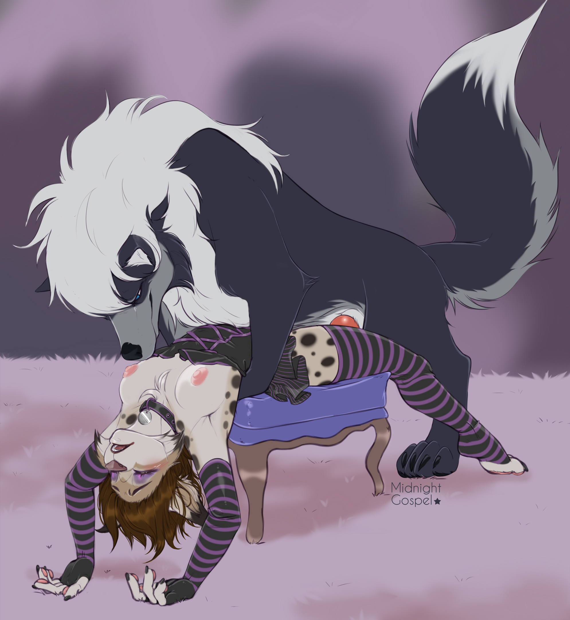4305535_Nightdancer_left_over_for_the_dog_-_med.jpg