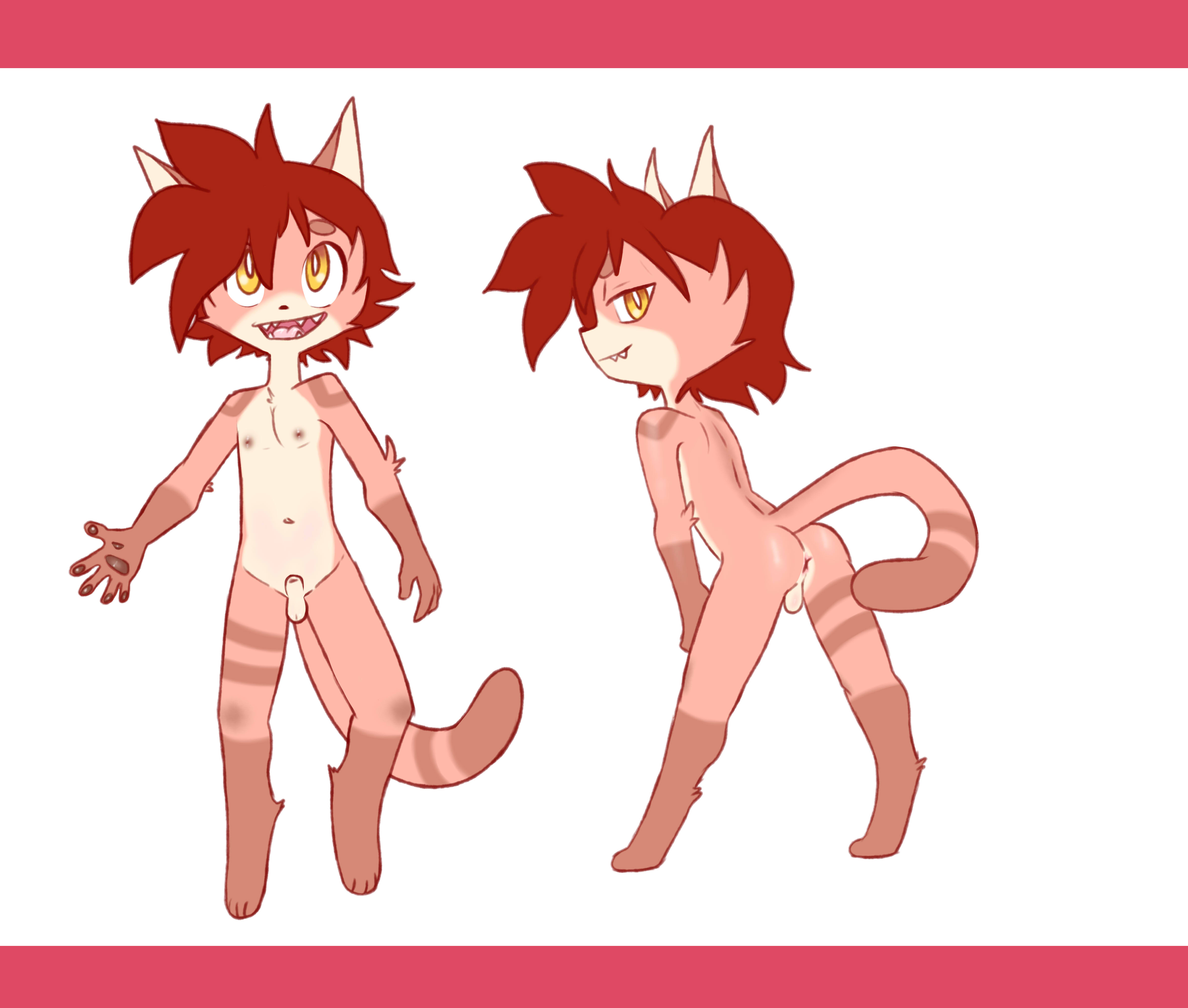 4306767_galo_adoptable_bado.jpg