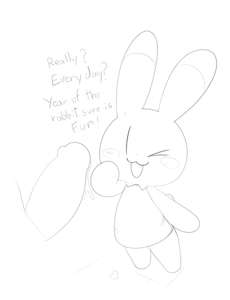 Iyo year of the rabbit